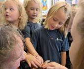 MN South News - Staff Photo - Create Article