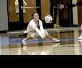 MN South News - Staff Photo - Create Article